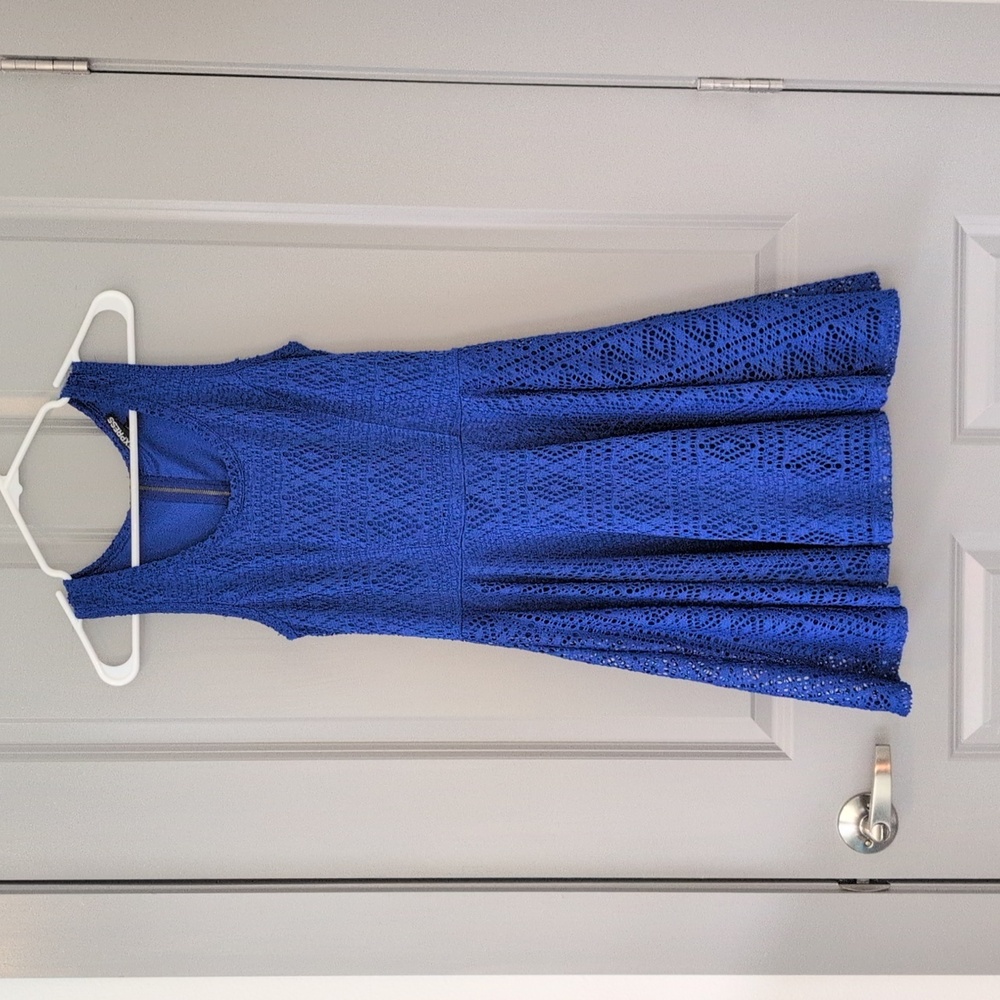 Express Blue Lace Skater Dress
